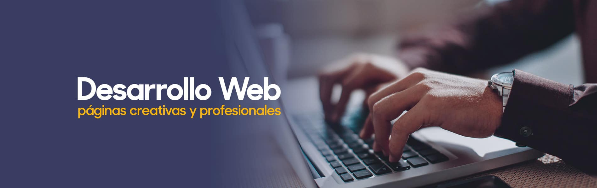 Desarrollo web profesional